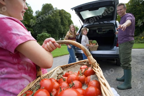 Preview: Two Generation Family Loading Car With Fresh Vegetables, Girl (8-10) Carrying Basket Full Of