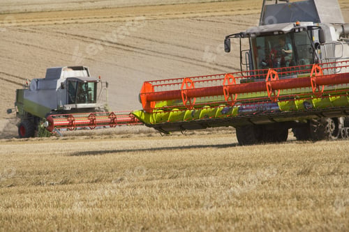 Preview: Wheat Harvesters
