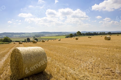 Preview: Hay Being Harvested Into Straw Bales In Farm Field