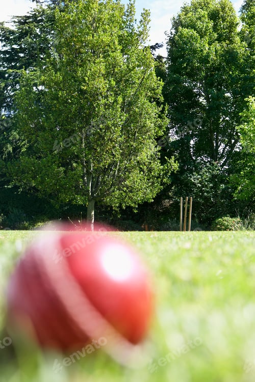 Preview: Cricket Ball On Pitch, Focus On Stumps And Trees In Background
