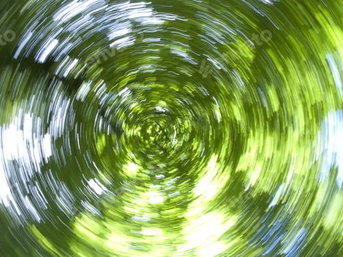 Preview: Sun Shining Though Green Tree Branches As They Are Spinning