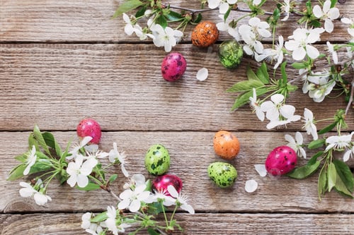 Preview: Easter Egg With Spring White Flowers