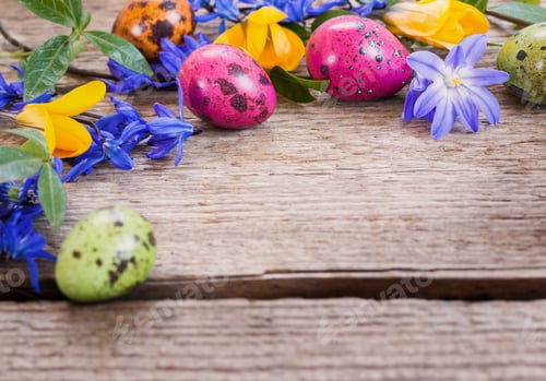 Preview: Easter Egg With Snowdrops On Rustic Wooden Background