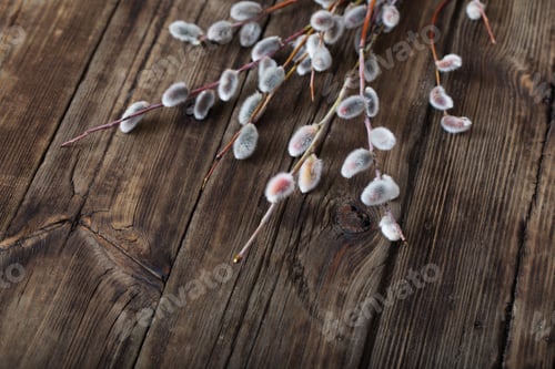 Preview: Branches Of Flowering Willow On Wooden Background