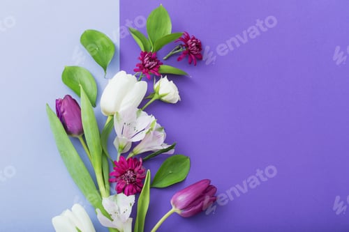 Preview: Beautiful Spring Flowers On Paper Background