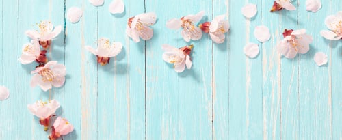 Preview: Pink Blossoms and Petals on Light Blue Background