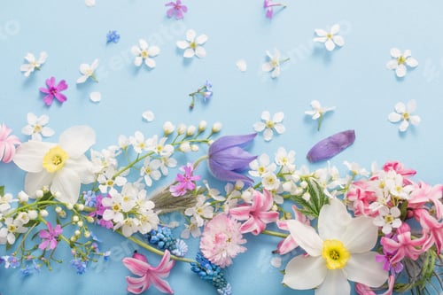 Preview: Beautiful Spring Flowers On Paper Background