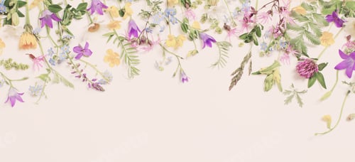 Preview: Beautiful Wild Flowers On White Background