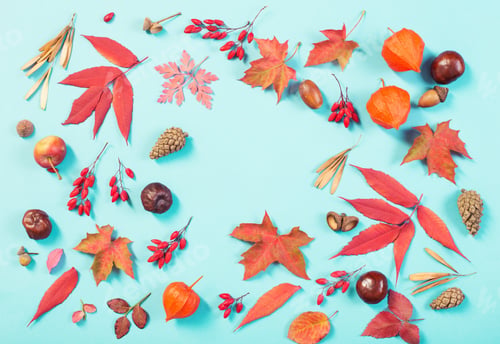 Preview: Autumn Leaves On Blue Paper Background