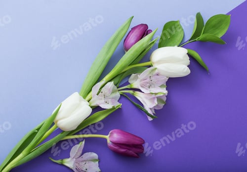 Preview: Beautiful Spring Flowers On Paper Background
