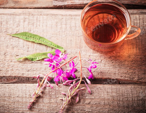 Preview: Cup Of Tea With Willow-Herb On Wooden Background