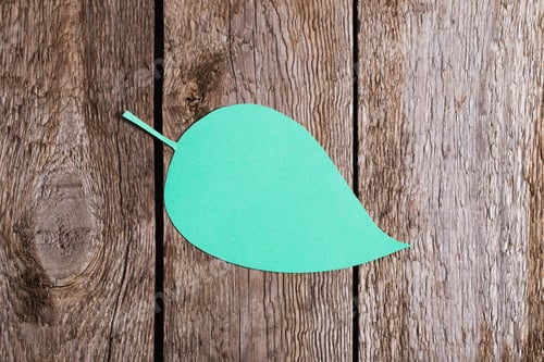 Preview: Green Paper Leaf On Wooden Background