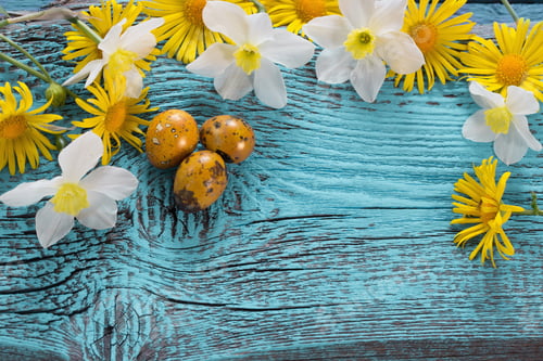 Preview: Easter Background With Flowers
