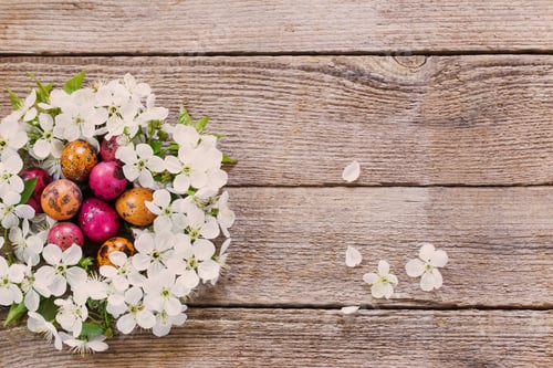 Preview: Easter Egg In Nest From White Flowers