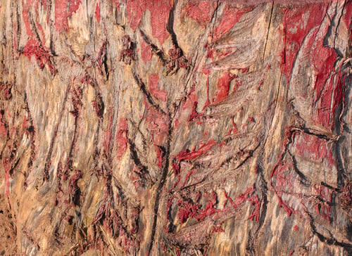 Preview: Old Wood Background