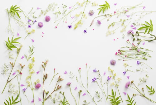 Preview: Summer Flowers On White Paper Background
