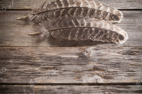Preview: Feather On The Wooden Table