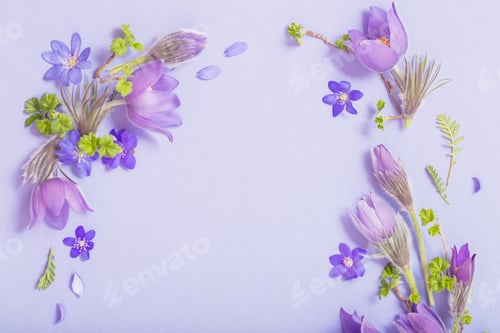 Preview: Beautiful Spring Flowers On Blue Background
