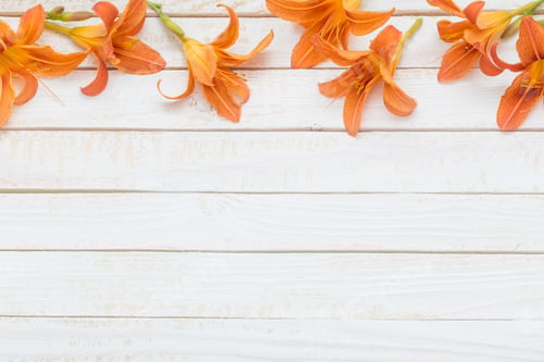 Preview: Orange Lily Flowers on White Wooden Background