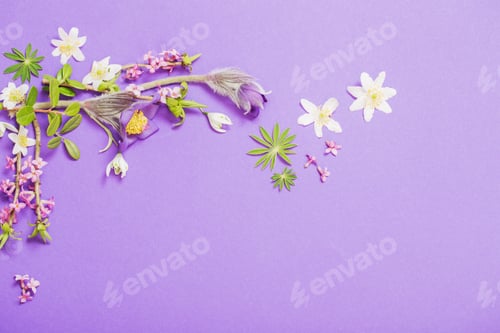 Preview: Spring Flowers On Violet Background