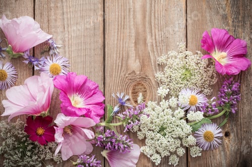 Preview: Summer Flowers On Old Wooden Background