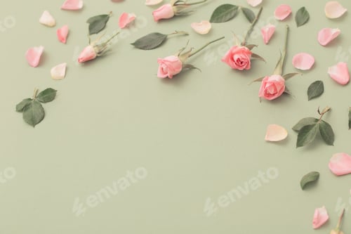 Preview: Pink And White Flowers On Green Paper Background