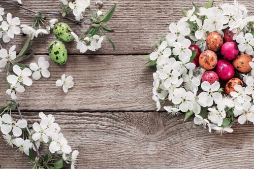 Preview: Easter Egg In Nest From White Flowers