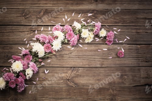 Preview: Pink Chrysanthemums On Dark Wooden Background