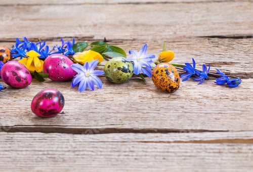 Preview: Easter Egg With Snowdrops On Rustic Wooden Background