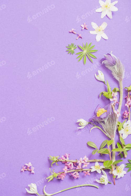 Preview: Spring Flowers On Violet Background