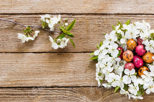 Preview: Easter Egg In Nest From White Flowers