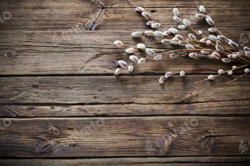 Preview: Branches Of Flowering Willow On Wooden Background