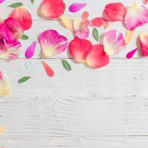 Preview: Floral Arrangement of Rose Petals on White Boards