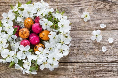 Preview: Easter Egg In Nest From White Flowers