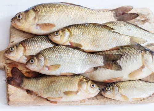 Preview: River Raw Fish On Wooden Table