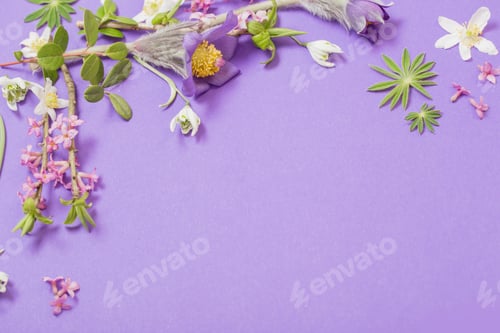 Preview: Spring Flowers On Violet Background