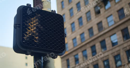 Preview: Closeup Pedestrian Traffic Light Allowing Cross Street In Modern Megapolis. Regulation Signal