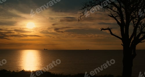 Preview: Aerial View Tree Silhouette At Golden Sunset Cloudy Sky. Orange Sun Light Reflecting In Calm Sea