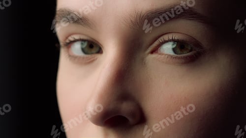 Preview: Attractive Woman Face Looking Left In Studio. Serious Girl With Beautiful Features Facial Staying