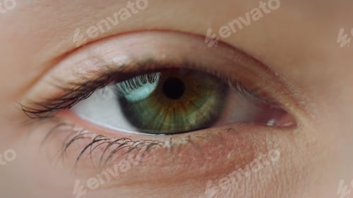 Preview: Macro Camera Motion Of Woman Eye Staring At Camera. Extremely Close Up Of Female Eye Closing. Human