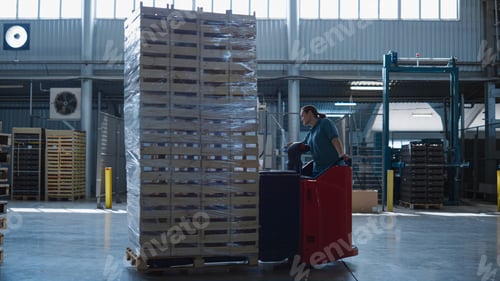 Preview: Woman Driving Storehouse Vehicle Sorting Supply Delivery Pallets Managing. Hardworking Storage