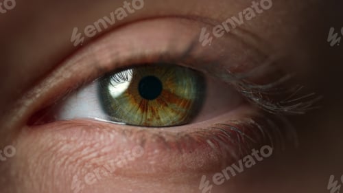 Preview: Beautiful Female Eye Staring At Camera. Macro Video Of Young Woman Blinking Eye Without Cosmetics