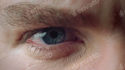 Preview: Macro Of Confident Opened Male Blue Eye.Close Up Of Concentrated Man Eye With Bright Blue