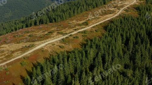 Preview: Hilly Road Trees Surrounding Amazing Summer National Park Woods Way Landscape. Small Rural