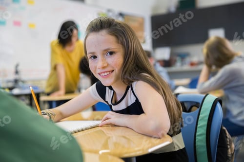 Preview: Portrait Of Confident Elementary Student In Classroom
