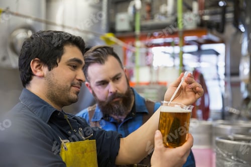 Preview: Brewery Workers Examining Beer In Beaker