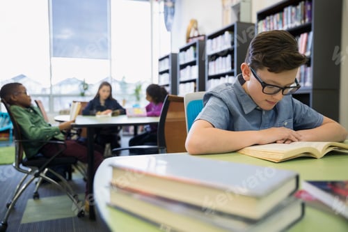Preview: Elementary Student Reading In Library