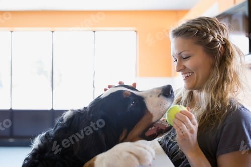 Preview: Woman Giving Tennis Ball To Saint Bernard Dog