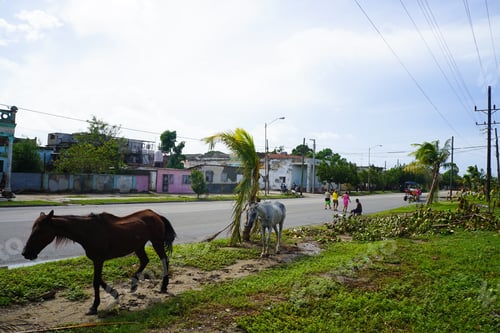 Preview: Hurricane Irma Clean Up Takes Place In Cienfuegos In Cuba In September 2017
