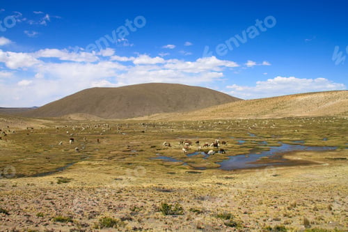 Preview: Peru Highlands